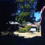 大きな木があったり、陰影が美しかったり、昔の日本家屋は寒いけど豊かだなぁー (Instagram)